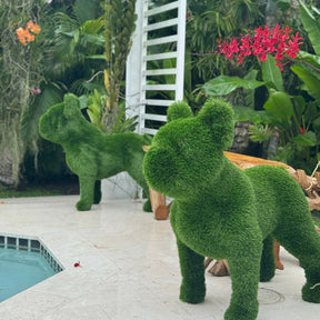 Topiary of the French Bulldog