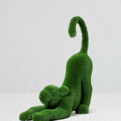 Topiary stretching of the lion cub