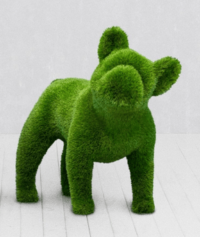 Topiary of the French Bulldog